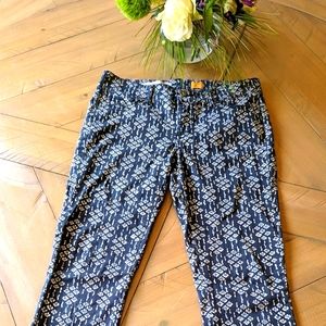 Anthropologie, skinny pants, pilco 27
